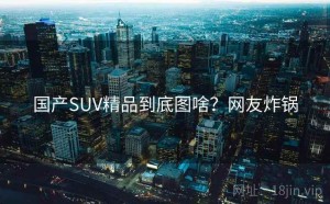 国产SUV精品到底图啥？网友炸锅