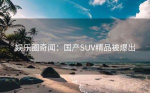 娱乐圈奇闻：国产SUV精品被爆出