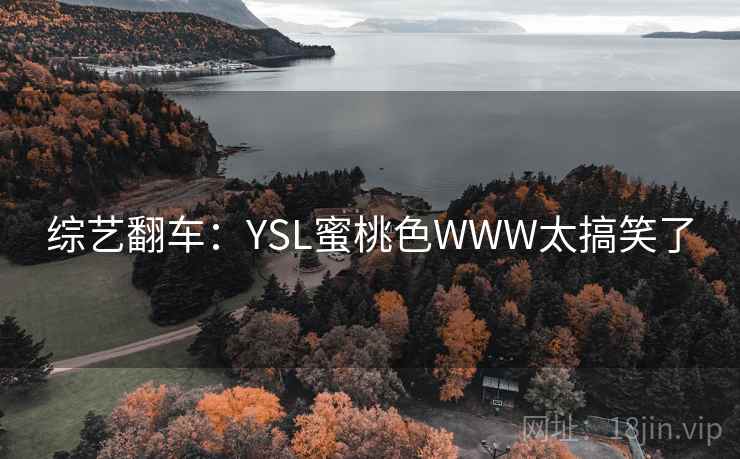 综艺翻车:YSL蜜桃色WWW太搞笑了 综艺翻车:YSL蜜桃色WWW太搞笑了